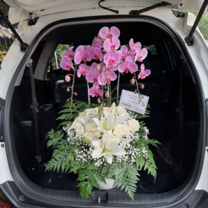 anggrek bulan pink 4 tangkai mix rose