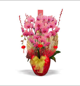 hampers anggrek imlek