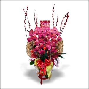 anggrek merah bata imlek
